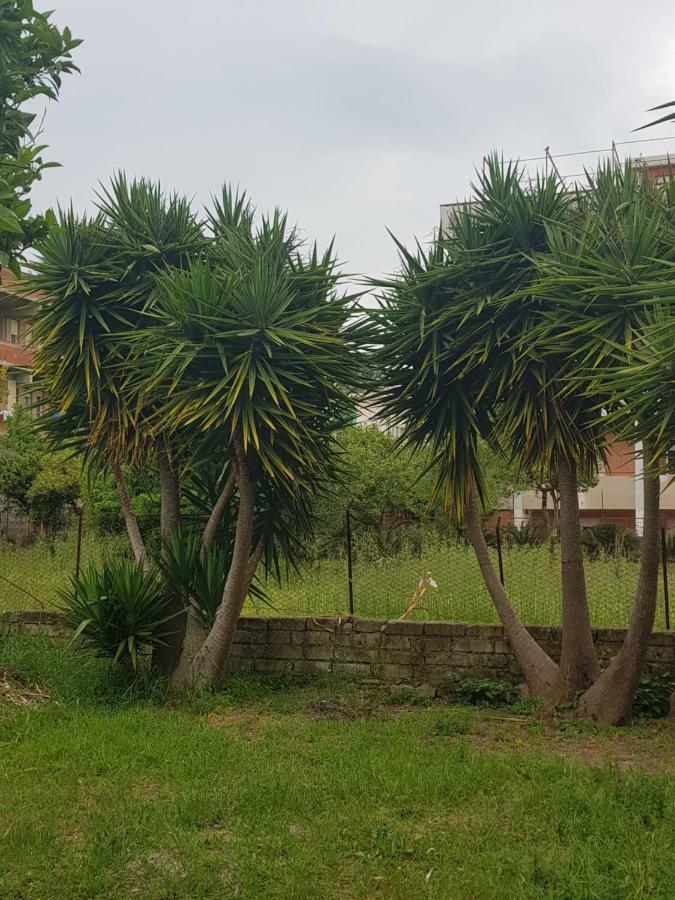 "Il Nespolo" Villa Scauri  Dış mekan fotoğraf