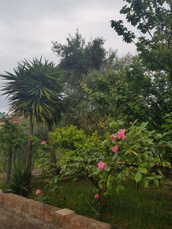 "Il Nespolo" Villa Scauri  Dış mekan fotoğraf
